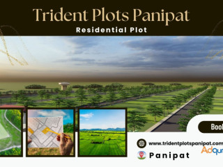 Trident Plots Panipat: A Gateway to Premium Living