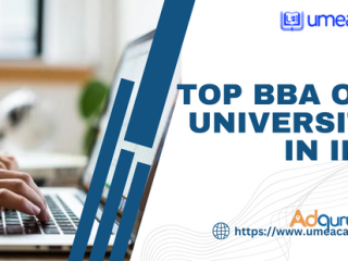 Top BBA Open universities in India