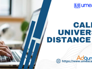 Calicut university distance bba