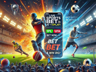 Live Sports Bet & Live Games at 11xPlay!