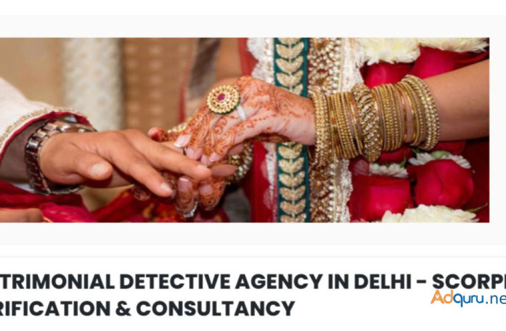 matrimonial-detective-agency-in-delhi-scorpion-verification-consultancy-big-0