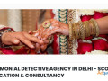 matrimonial-detective-agency-in-delhi-scorpion-verification-consultancy-small-0