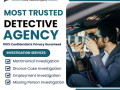 fastest-growing-professional-detective-agency-in-delhi-small-0