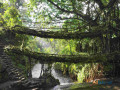 explore-meghalaya-our-tour-packages-ensure-a-serene-adventure-small-0