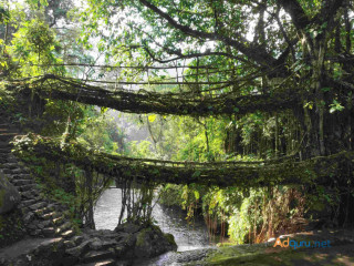 Explore Meghalaya: Our Tour Packages Ensure a Serene Adventure