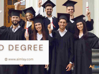 PhD Degree: The Pinnacle of Academic Excellence