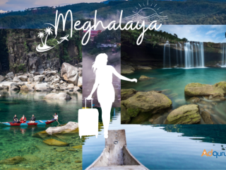 Experience Meghalaya Magic: Tailored Tour Packages Await!