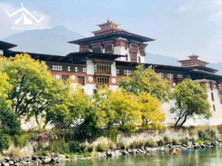 Timeless Tranquility: 10 Marvelous Monasteries in Bhutan