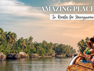 Romantic Getaway: Kerala Honeymoon Tour Package