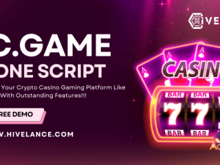 Conquer your crypto gambling market with our bc game clone script