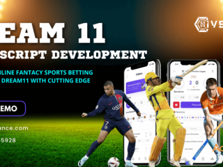 Dream Big, Bet Big: Dream11 Clone Script for Thriving Sports Betting Platform