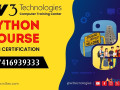 python-training-institute-small-0