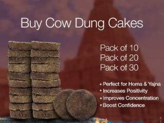 Cow dung cake for holi