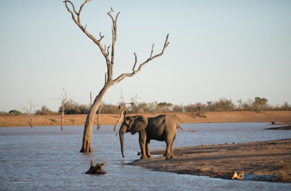 new-wildlife-reserves-in-rajasthan-big-0