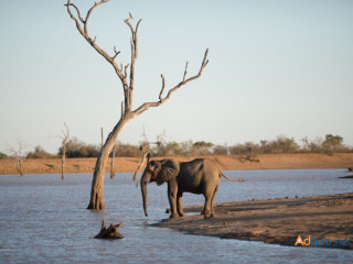 New Wildlife Reserves in Rajasthan