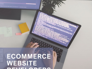 Top ecommerce website developers in Delhi