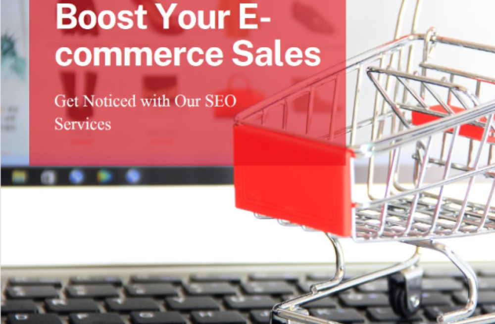 highly-rated-ecommerce-seo-agency-in-delhi-big-0