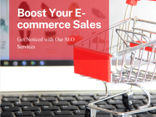 Highly-rated ecommerce SEO agency in Delhi