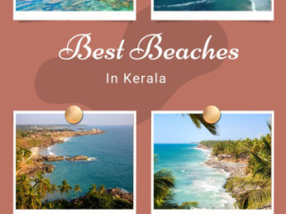 Kerala Beach Bliss: Relax and Explore Tour