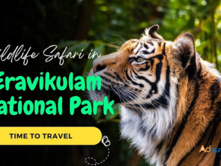 Discover Kerala's Charms: Eravikulam & Beyond