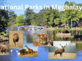 unveil-the-untamed-national-parks-in-meghalaya-small-0