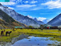 discover-kashmirs-majesty-exclusive-tour-packages-by-wanderon-small-0