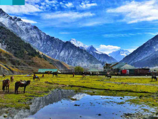 Discover Kashmir's Majesty: Exclusive Tour Packages by WanderOn