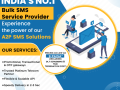 indias-top-bulk-sms-service-provider-shree-tripada-small-1