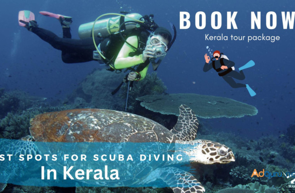 explore-the-enchanting-backwaters-beaches-of-kerala-with-wanderon-big-0