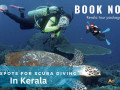 explore-the-enchanting-backwaters-beaches-of-kerala-with-wanderon-small-0