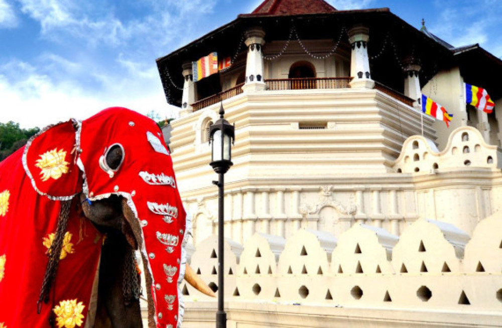 discover-sri-lanka-unforgettable-tour-packages-for-an-enriching-travel-experience-big-0