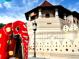 Discover Sri Lanka: Unforgettable Tour Packages for an Enriching Travel Experience