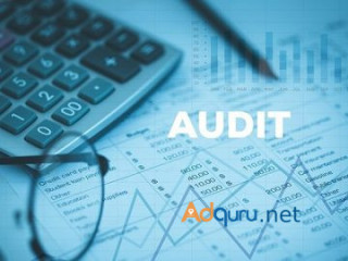 Best Audit Firms In India