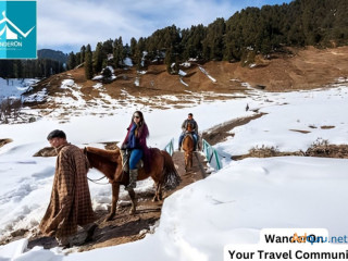 Discover Blissful Kashmir: Explore the Best Tour Packages & Honeymoon Experiences!