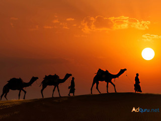 Rajasthan Tour Packages- ExploreThe Best Of The Regal Land