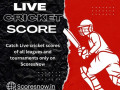 live-cricket-score-small-4