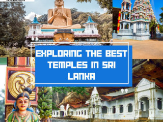 Discover Sri Lanka: Unforgettable Tour Packages Await