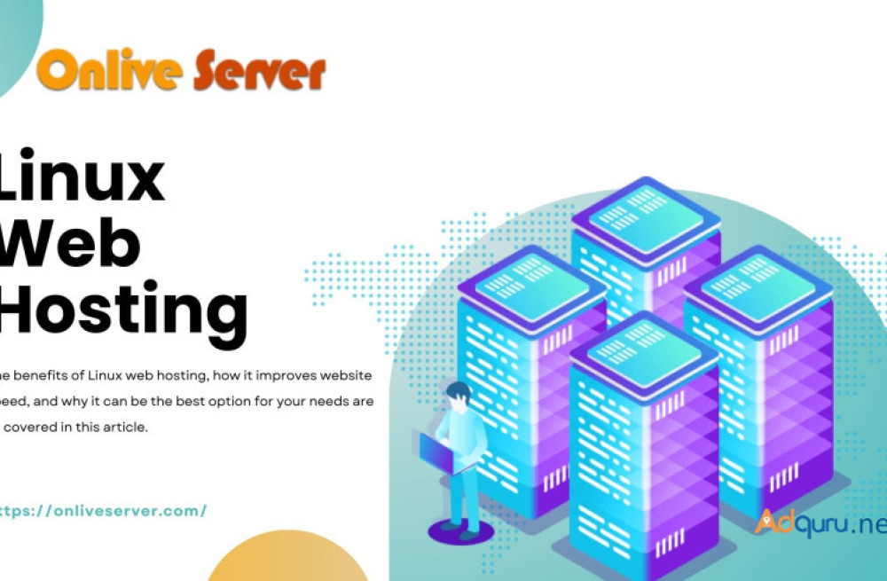 maximize-your-online-presence-with-onlive-server-linux-web-hosting-big-0