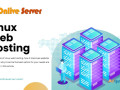 maximize-your-online-presence-with-onlive-server-linux-web-hosting-small-0