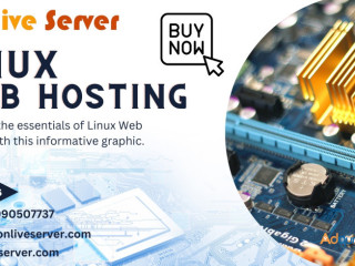 Onlive Server Offers Comprehensive Linux Web Hosting Solutions for All.