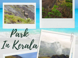 Unveiling the Enchanting Beauty of Eravikulam National Park