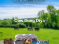 hawan-cow-dung-small-0