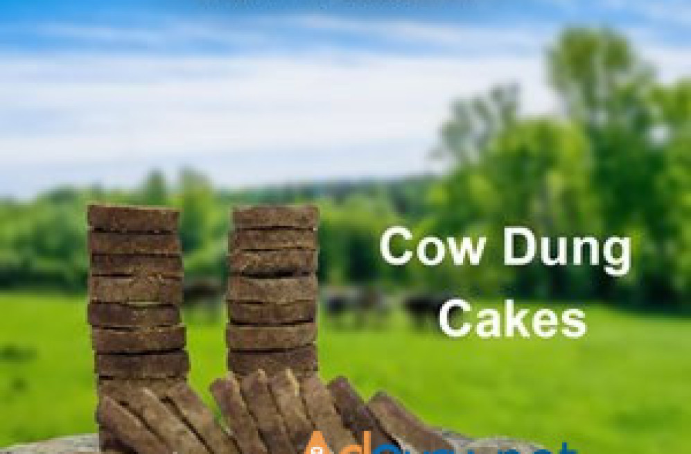 cow-dung-cake-usa-big-0