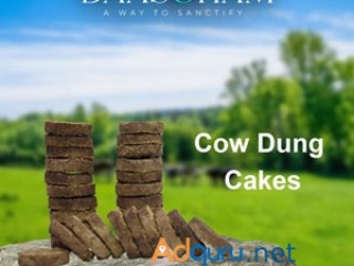 Cow dung cake usa