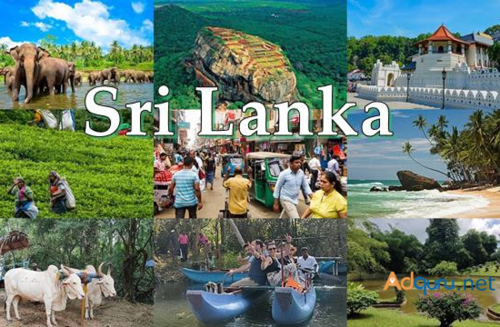 explore-sri-lanka-tour-packages-with-exclusive-offers-big-0