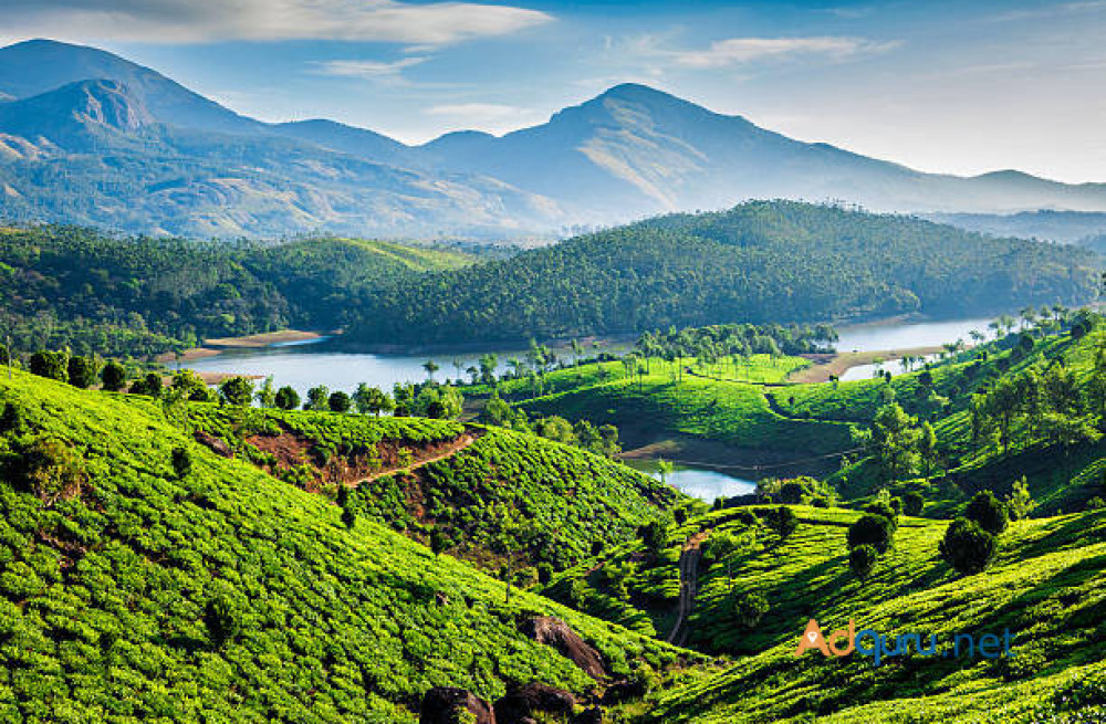 explore-the-natural-beauty-of-kerala-a-complete-tour-package-big-0