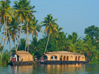 Explore Kerala's Beauty: Handcrafted Tour Packages for Every Traveler