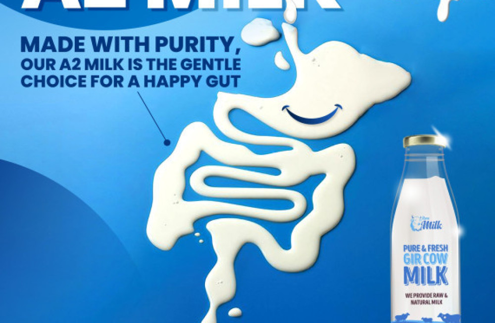 get-pure-desi-cow-milk-at-affordable-price-per-litre-big-0