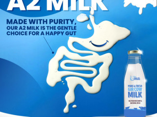 Get Pure Desi Cow Milk at Affordable Price per Litre