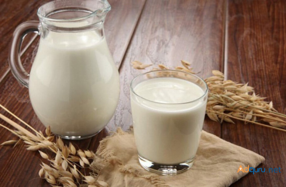 ahmedabads-finest-gir-cow-milk-pure-nutritious-and-delivered-fresh-big-0